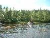 2003_0803_151500AA.jpg